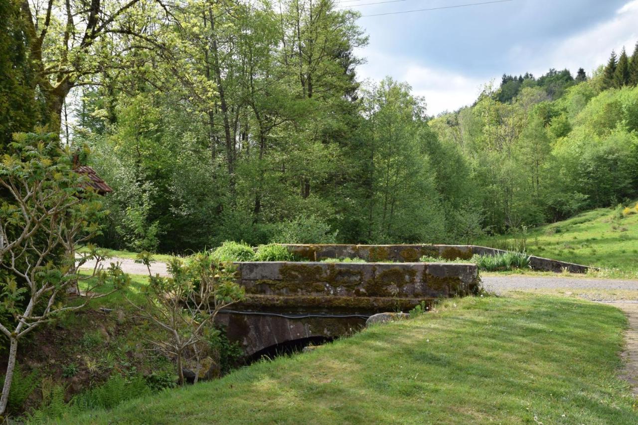 Vacance Conviviales Dans Les Vosges 8 Gites Ban-de-Sapt Bagian luar foto