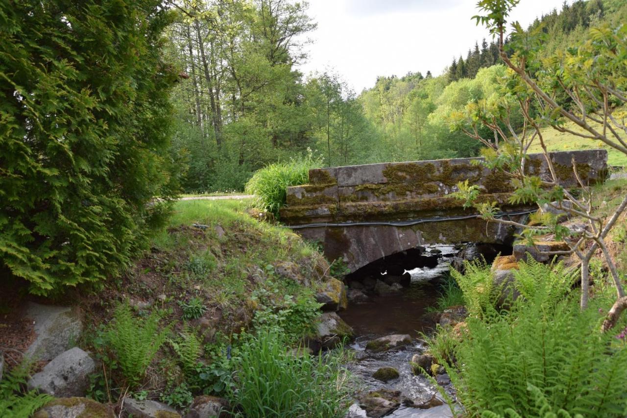 Vacance Conviviales Dans Les Vosges 8 Gites Ban-de-Sapt Bagian luar foto