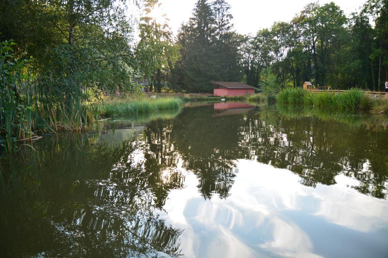 Vacance Conviviales Dans Les Vosges 8 Gites Ban-de-Sapt Bagian luar foto