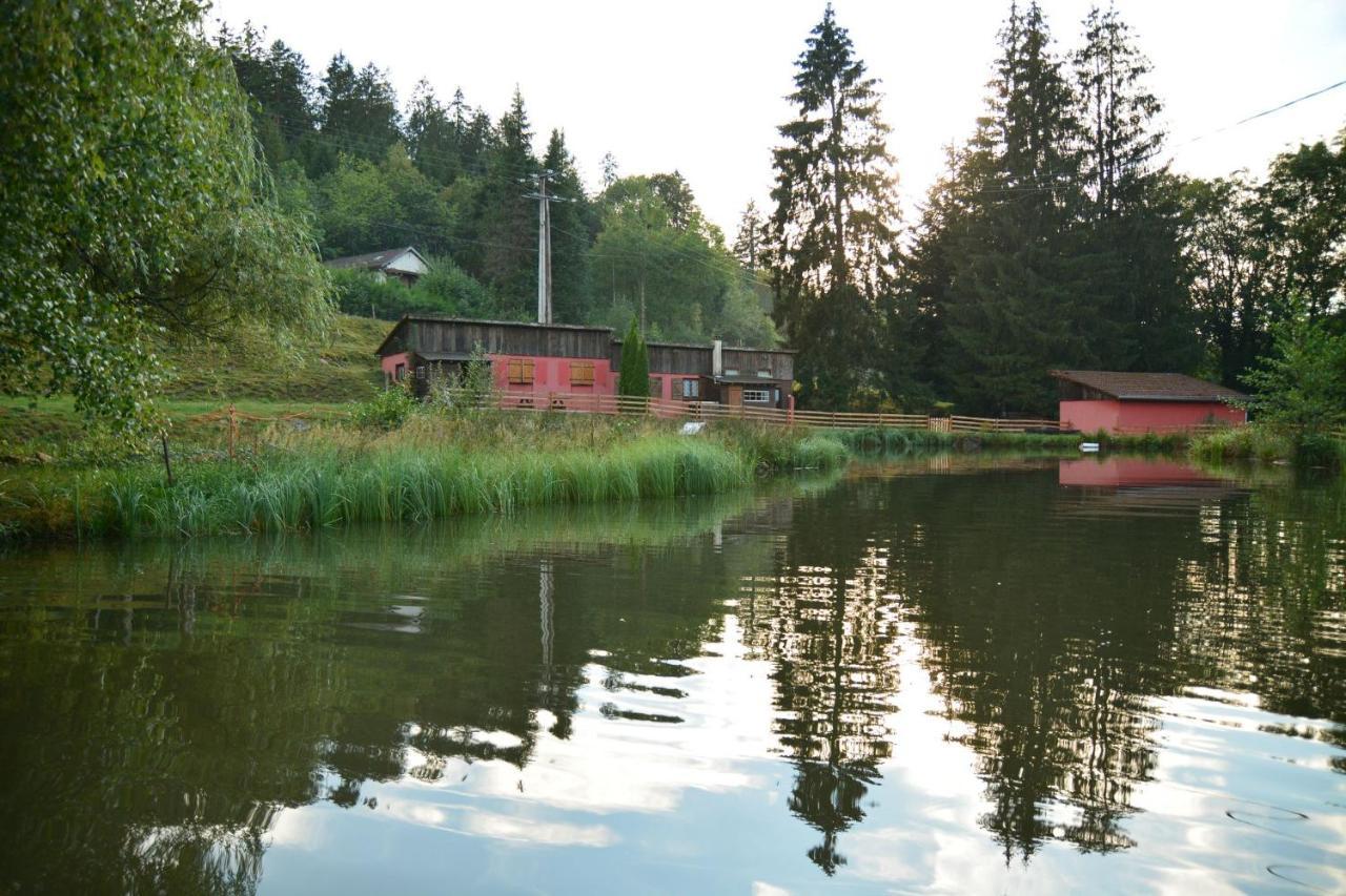 Vacance Conviviales Dans Les Vosges 8 Gites Ban-de-Sapt Bagian luar foto