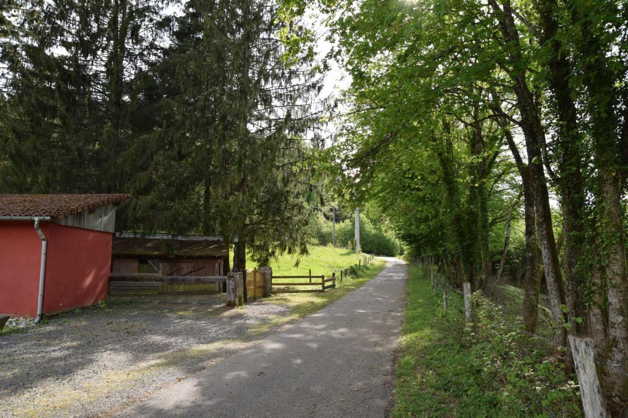 Vacance Conviviales Dans Les Vosges 8 Gites Ban-de-Sapt Bagian luar foto