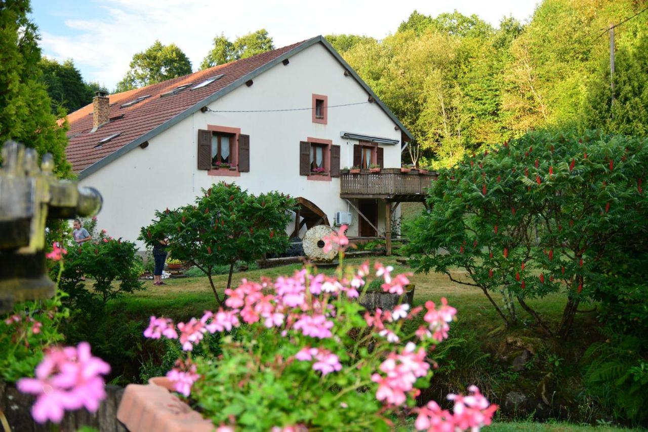 Vacance Conviviales Dans Les Vosges 8 Gites Ban-de-Sapt Bagian luar foto